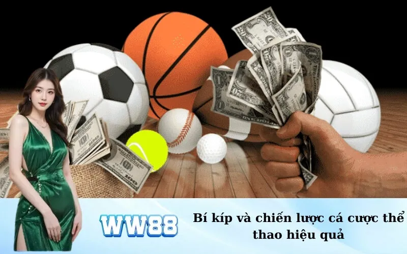 Bí kíp và chiến lược cá cược thể thao hiệu quả